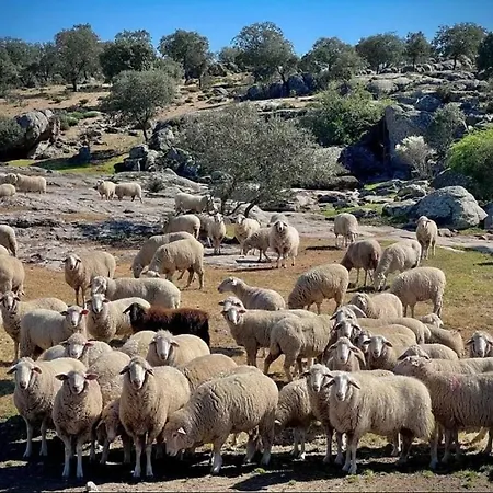 Dom wakacyjny El Mirador Del Tormes *
