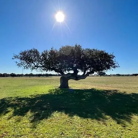 El Mirador Del Tormes *