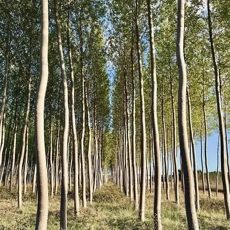 Dom wakacyjny El Mirador Del Tormes *