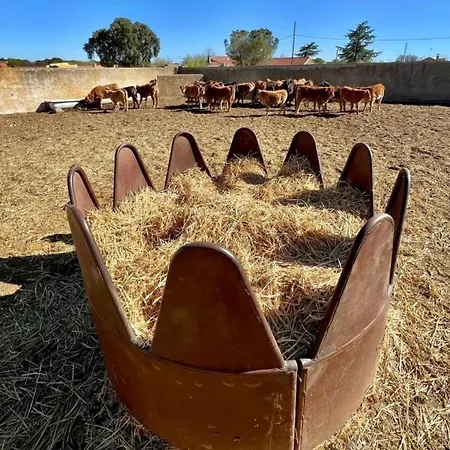 El Mirador Del Tormes Almenara de Tormes