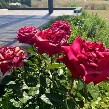 El Mirador Del Tormes Dom wakacyjny Almenara de Tormes