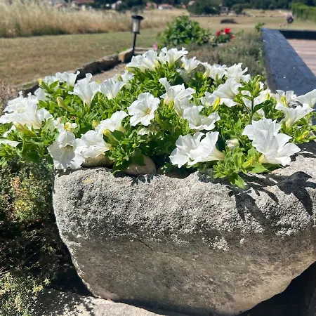 Dom wakacyjny El Mirador Del Tormes Almenara de Tormes