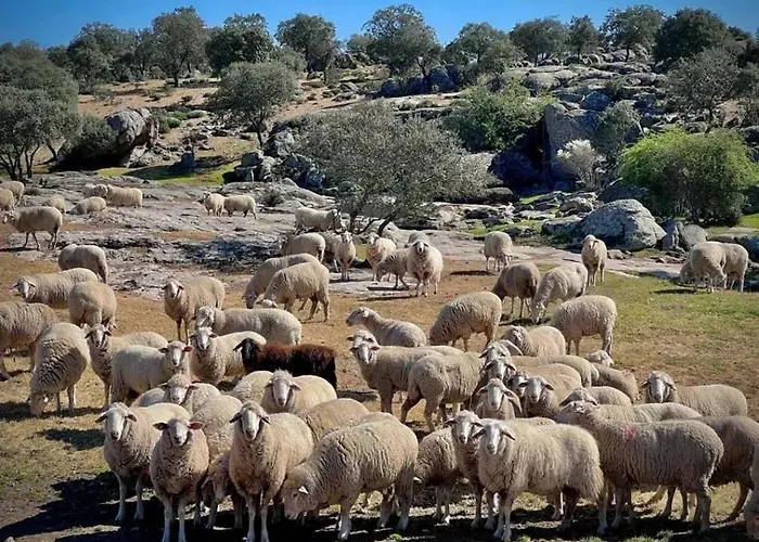 펜션 El Mirador Del Tormes *
