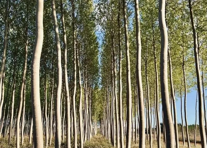 펜션 El Mirador Del Tormes *