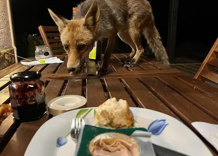 El Mirador Del Tormes 펜션 *