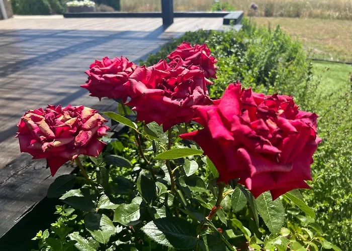 El Mirador Del Tormes 펜션 Almenara de Tormes