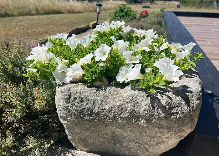 펜션 El Mirador Del Tormes Almenara de Tormes
