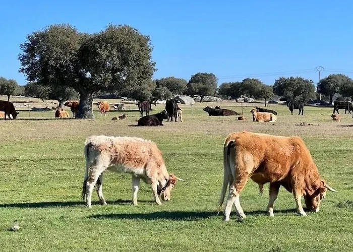 El Mirador Del Tormes